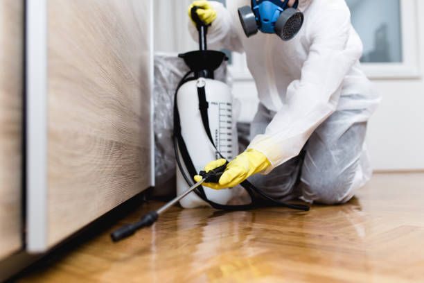 Best Termite Control Services  in Girardville, PA