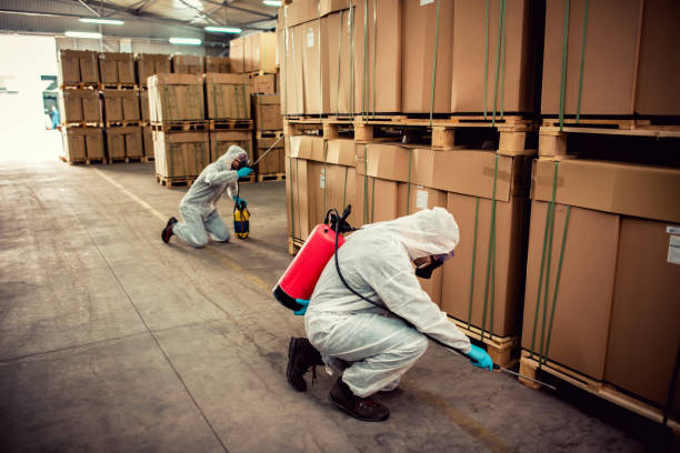 Best Mosquito Control Services  in Girardville, PA