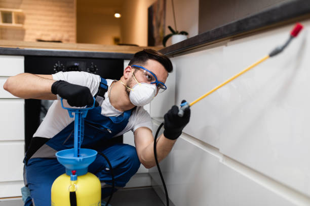 Best Emergency Pest Control  in Girardville, PA