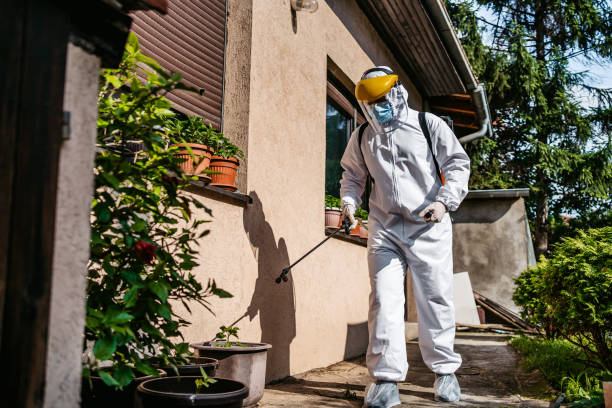 Best Affordable Exterminators  in Girardville, PA
