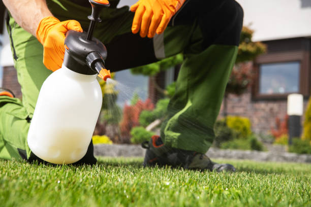 Best Best Pest Control Companies  in Girardville, PA