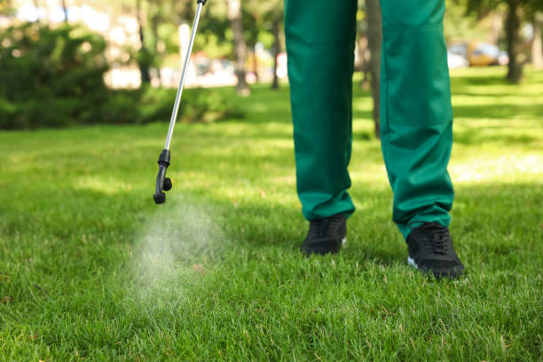 Best Flea Control Services  in Girardville, PA