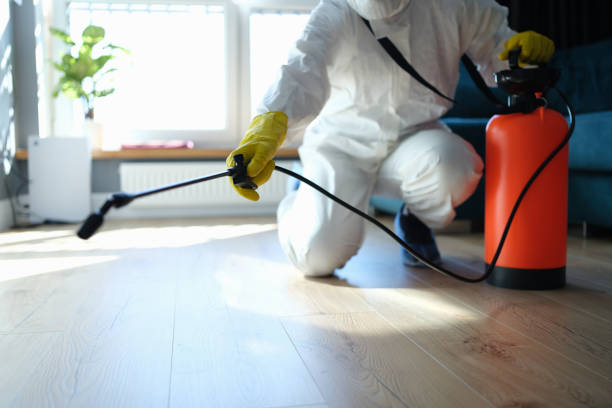 Reliable Girardville, PA Pest Control Solutions