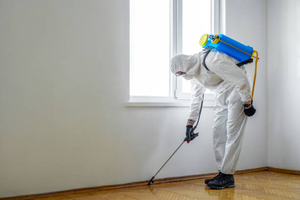 Best Exterminator Services  in Girardville, PA