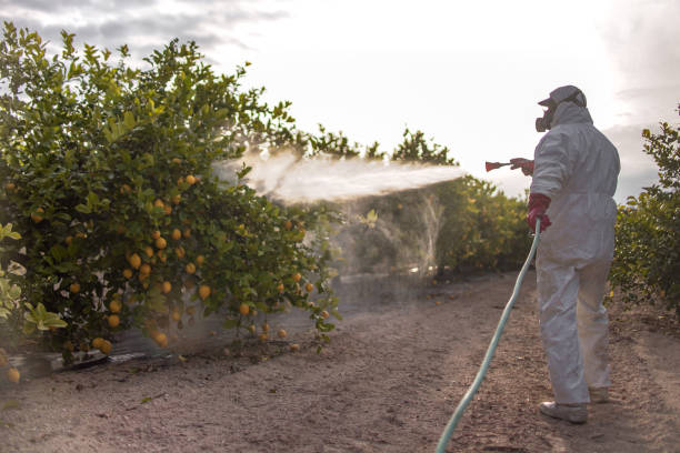 Best Pest Control Near Me  in Girardville, PA
