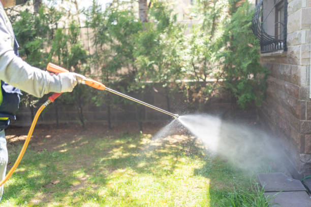 Best Local Pest Control Services  in Girardville, PA