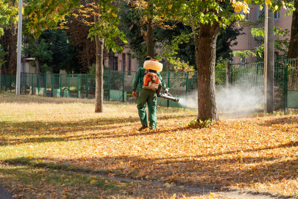 Flea Control Services in Girardville, PA
