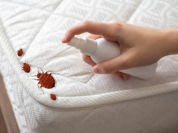 Best Best Pest Control Companies  in Girardville, PA