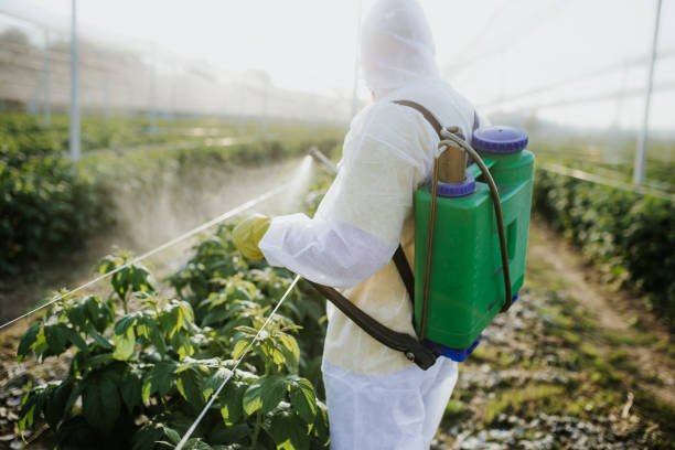 Best Pest Control for Homes  in Girardville, PA